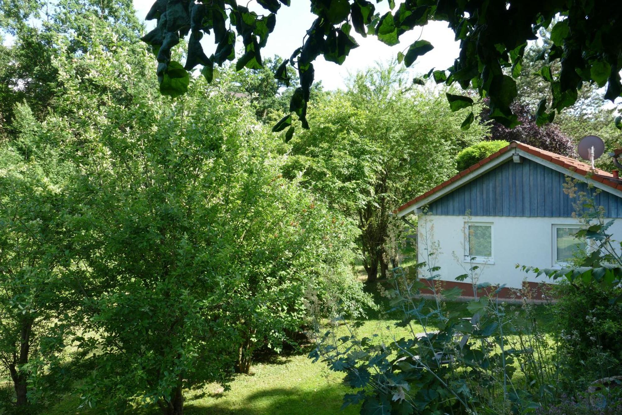 Landleben - Ferienhaus 2 Fritzlar Bagian luar foto