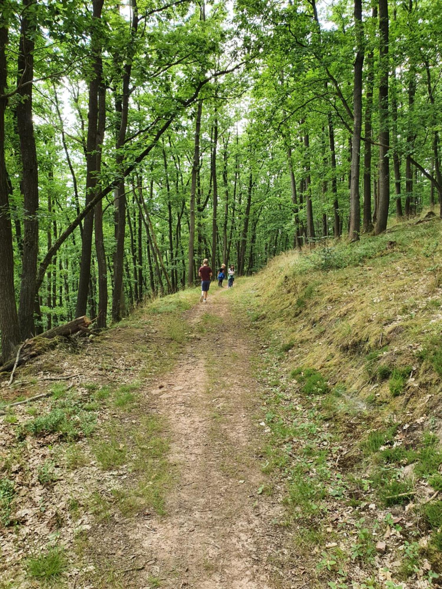 Landleben - Ferienhaus 2 Fritzlar Bagian luar foto