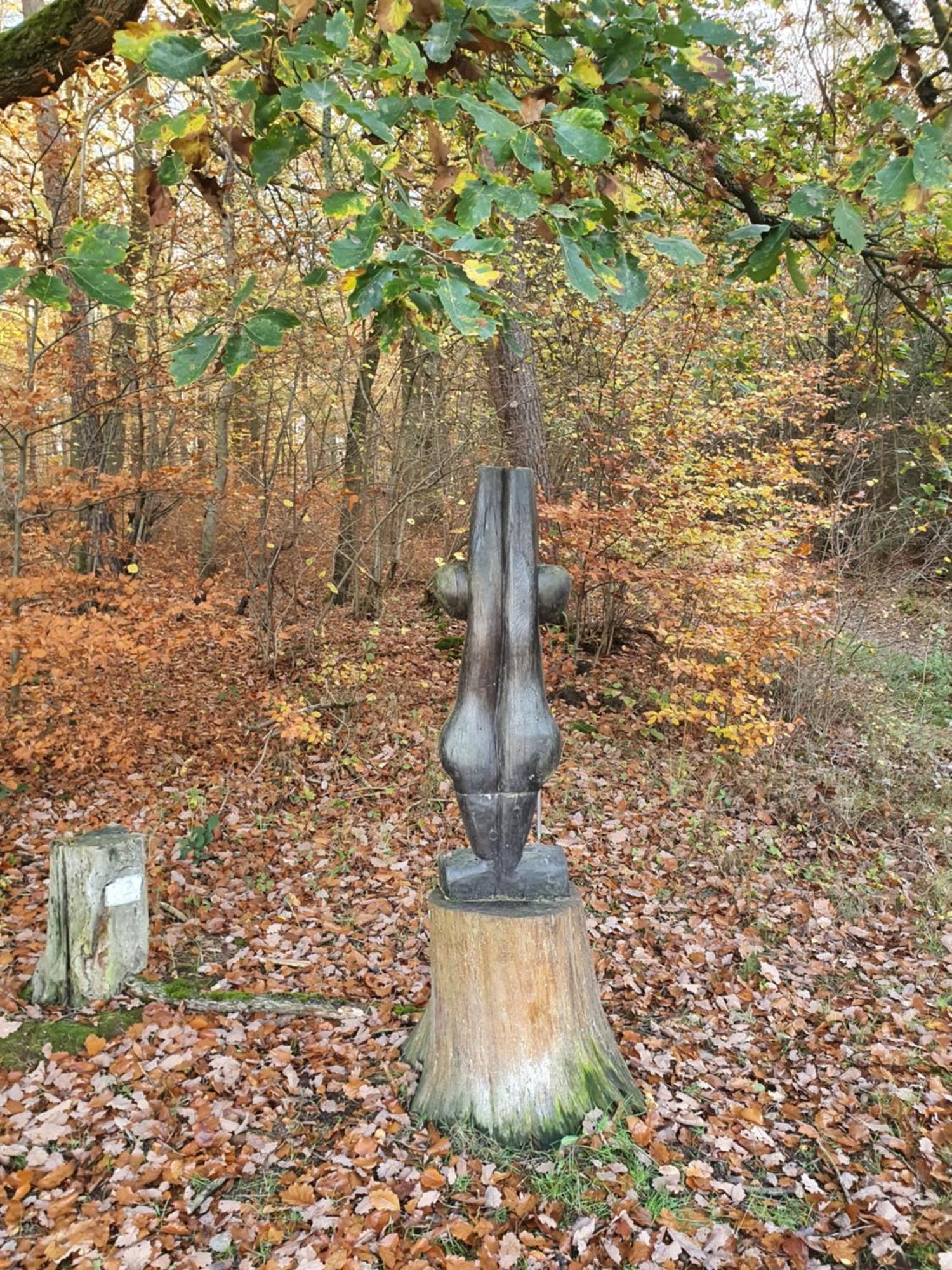 Landleben - Ferienhaus 2 Fritzlar Bagian luar foto